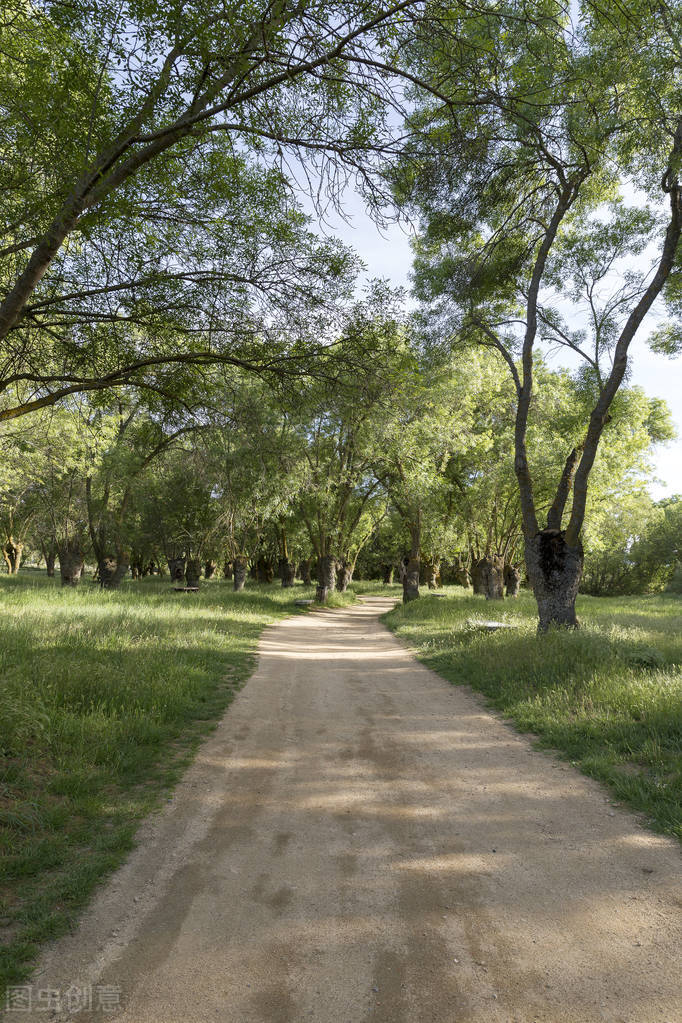 听说做梦梦见自己在水里是因为阴气重？