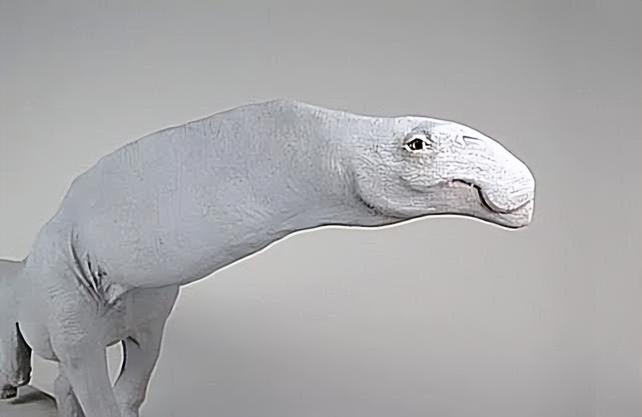 泰坦巨龙图片从哪来的,泰坦巨龙恐龙图片和简介