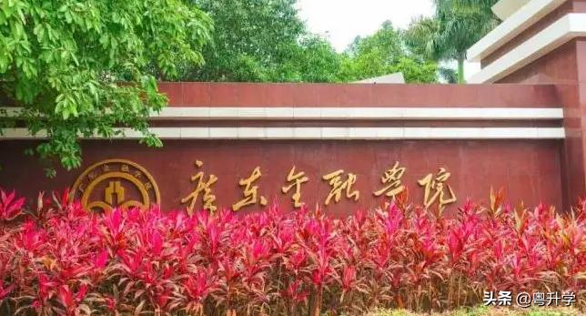 广东金融学院多少分可以进入,广东金融学院二本录取分数线
