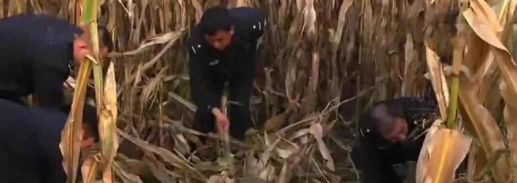 儿媳晒2000元年货，婆婆：啥时候回家？儿媳：不回，我儿子还没阳