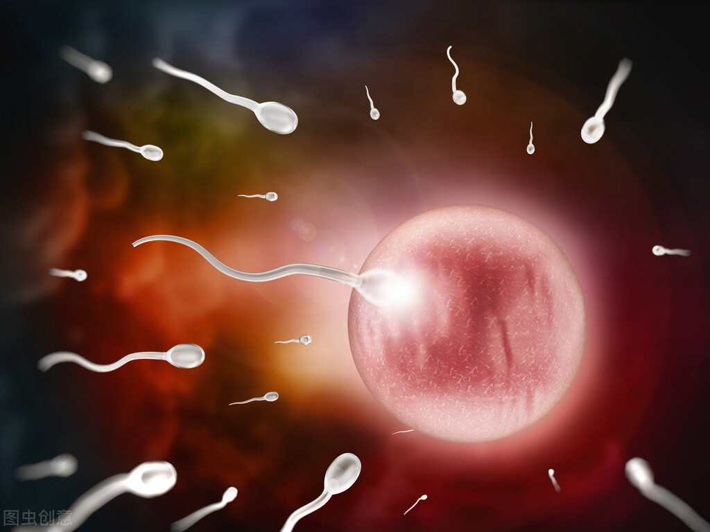精子跟卵子结合过程的艰难性,精子和卵子结合之前要经历什么