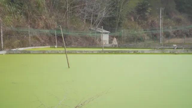 榫欐硥鐭宠洐鍏绘畺鍩哄湴,榫欐硥鐭宠洐