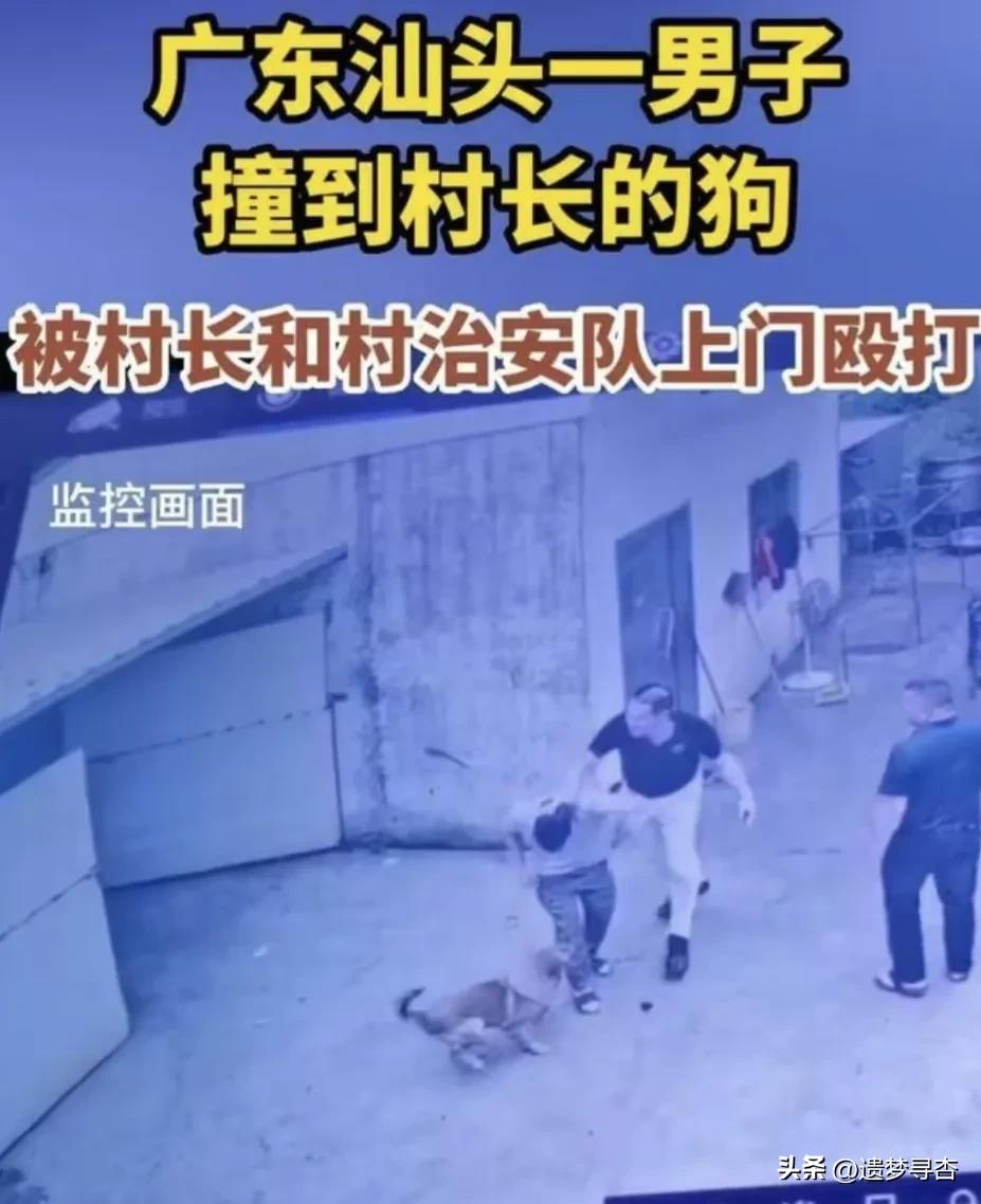 撞到村长的狗被上门殴打最新消息,撞了村长的狗有结果了吗