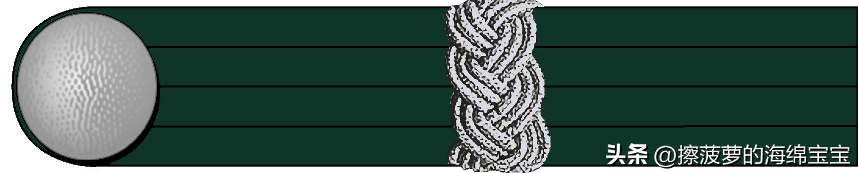 二战德国国防军医疗兵军衔标志