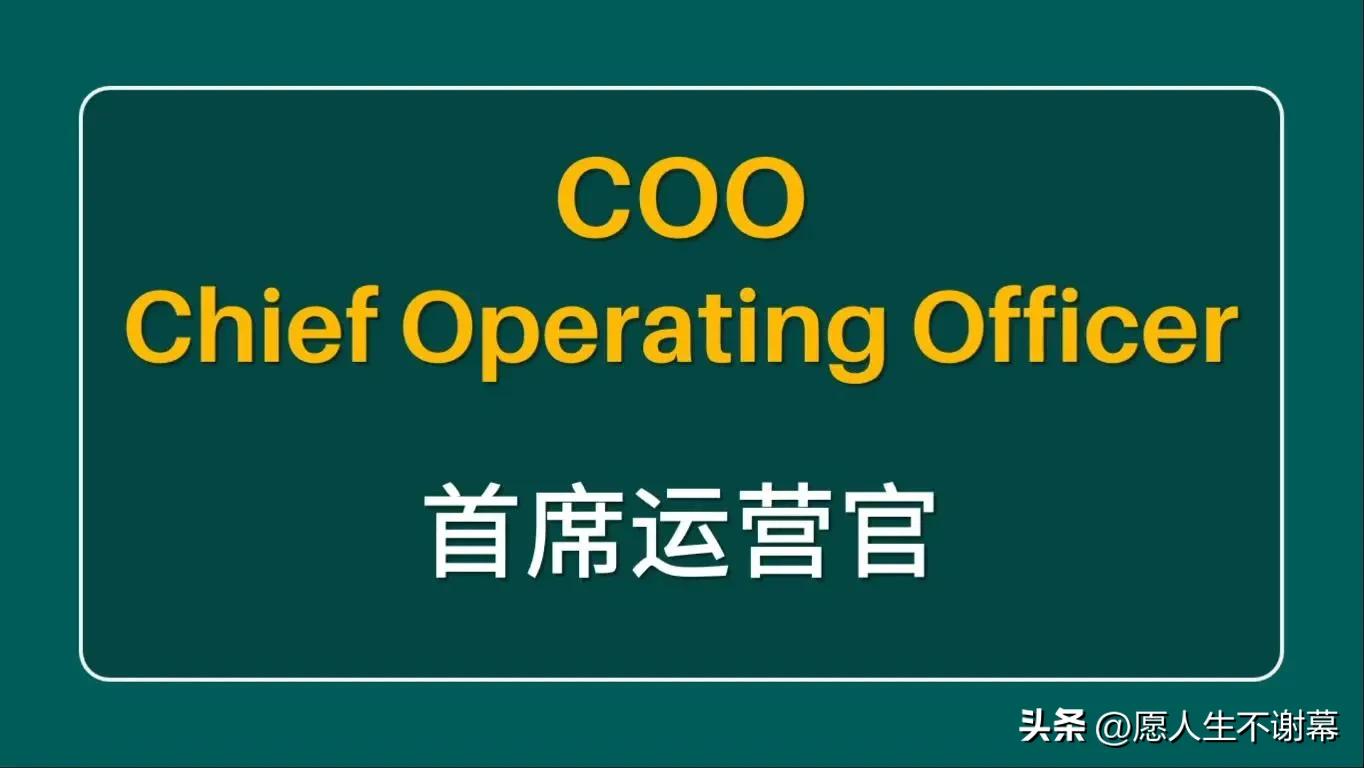 ceocfocooctocio分别代表什么,ceo英文缩写是什么