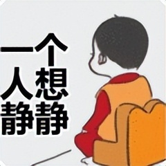 演唱会几十万一张,演唱会百万门票