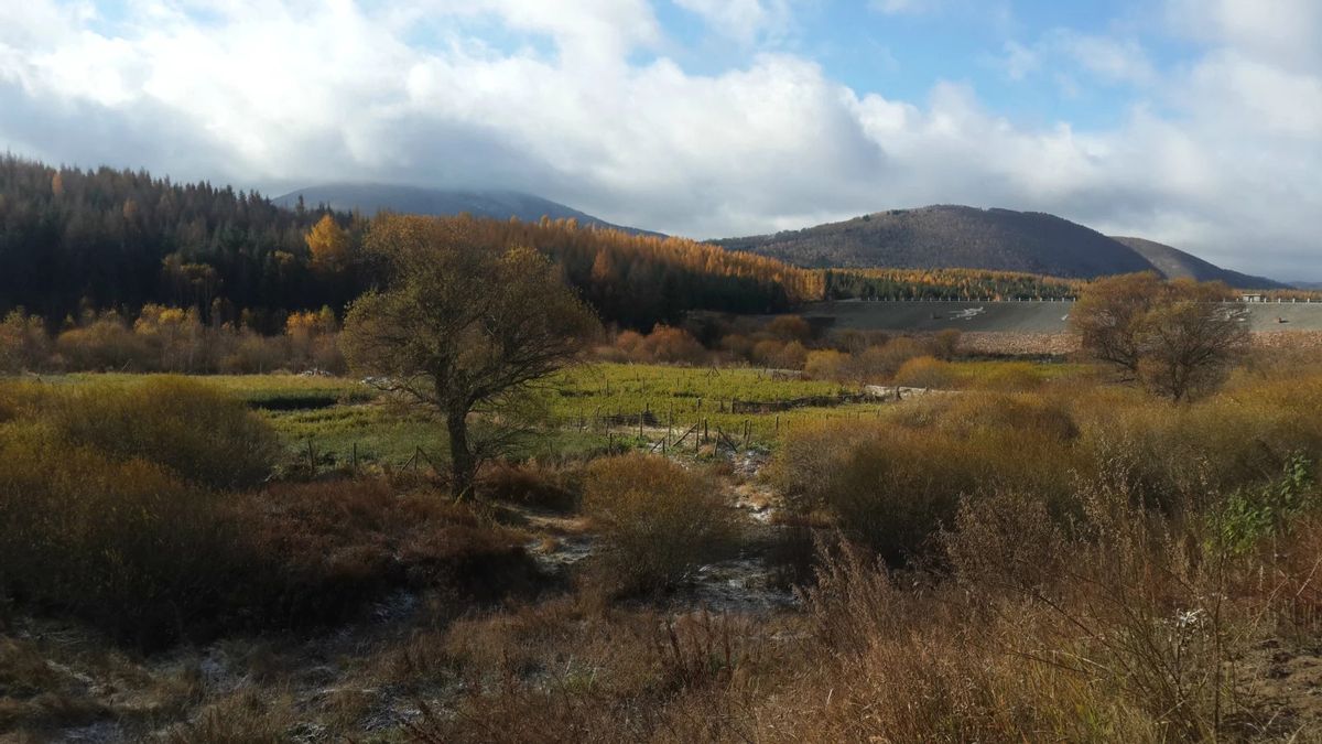 金秋时节登山视频,金秋登太行免费完整版