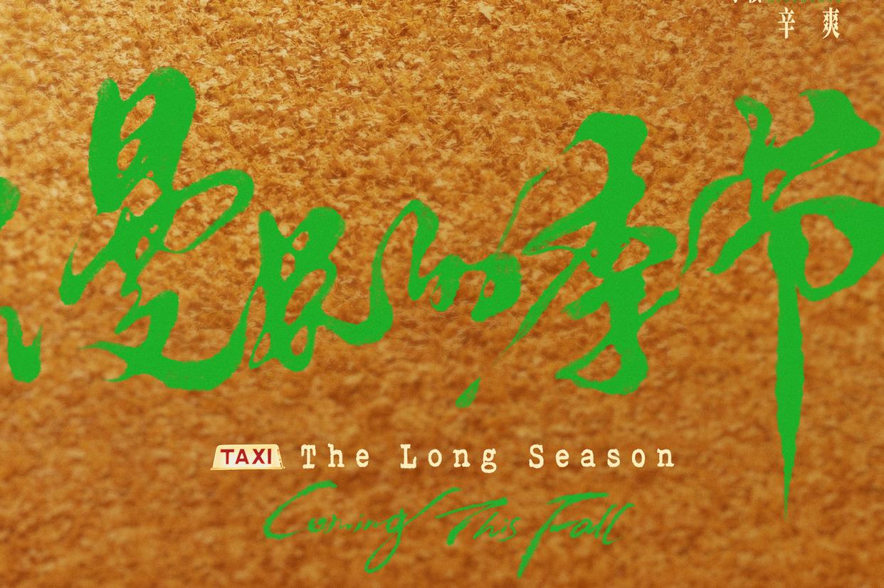 漫长的季节桦林,漫长的季节桦钢遇到什么事了