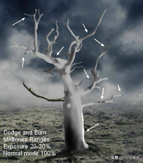 在Photoshop中创建带有月亮的树的超现实图稿，VV云课堂教程