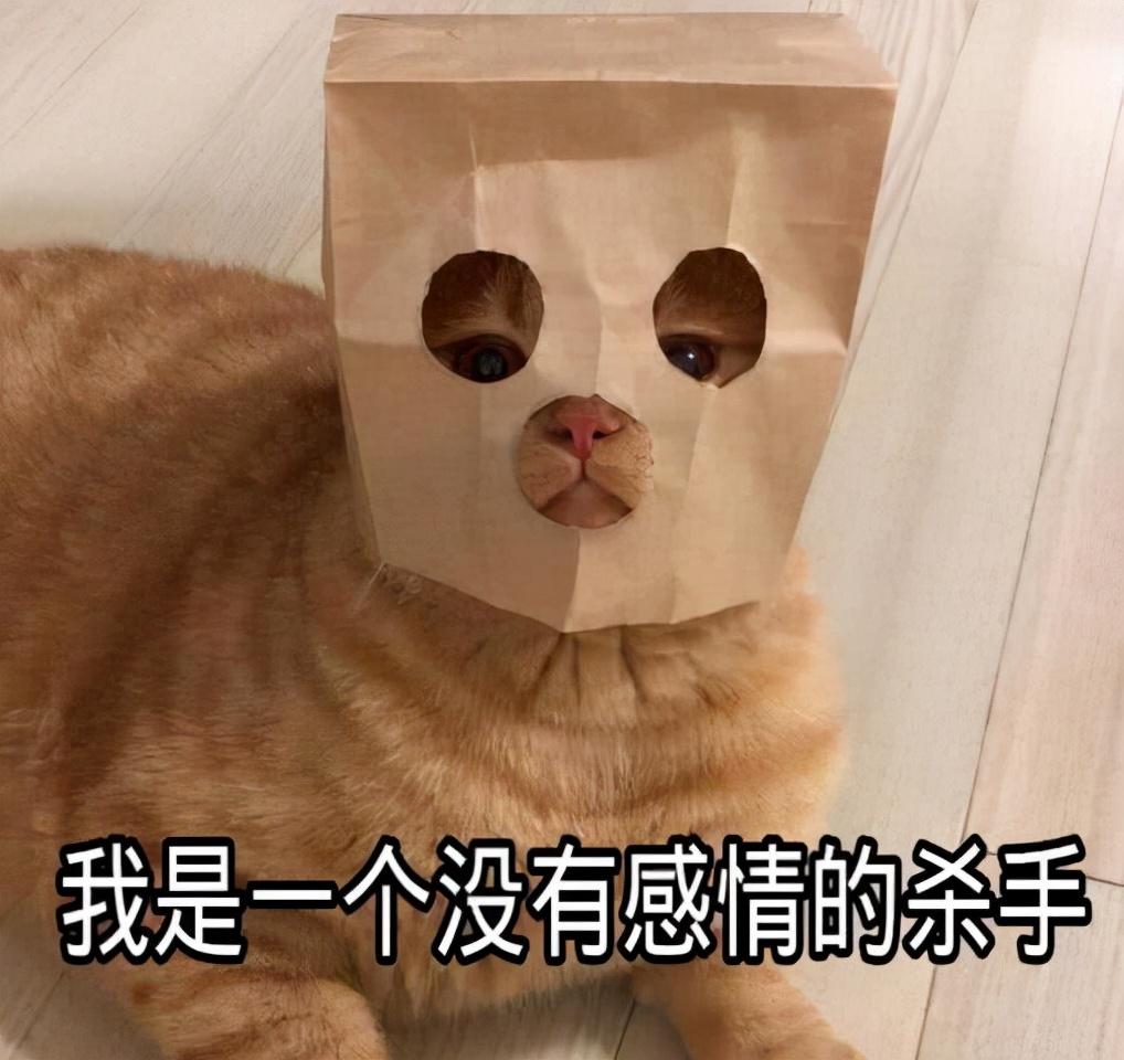 最不值钱的猫有哪几种,养得起这几种猫的都是土豪
