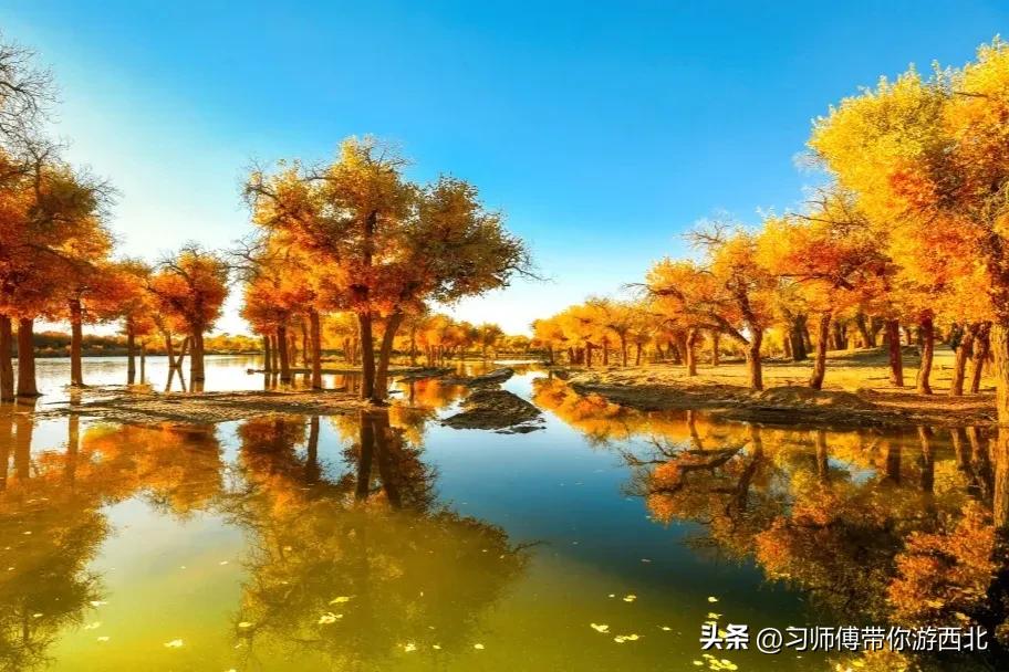 醉美胡杨深度游,额济纳胡杨林旅游攻略