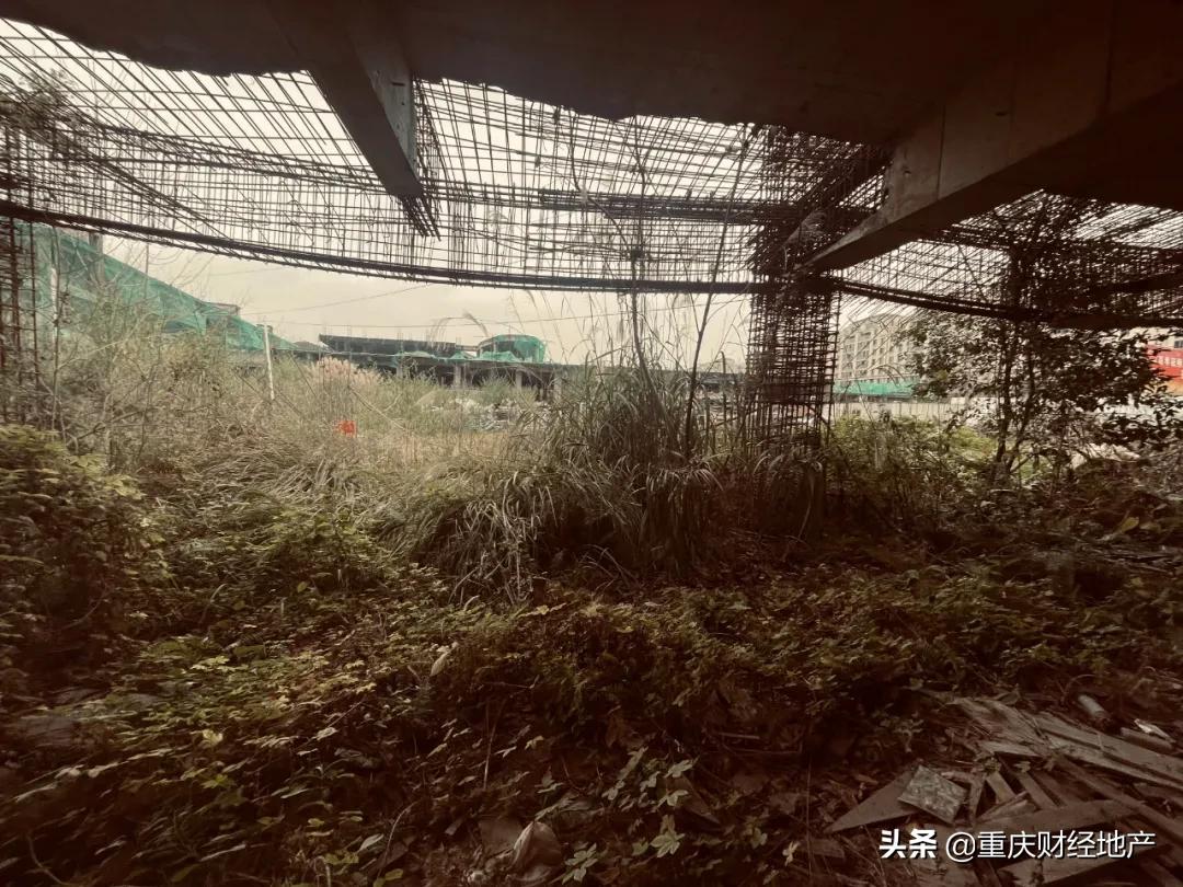 巴滨路商业街,巴滨路有什么商圈吗