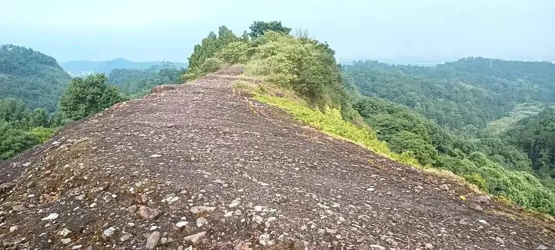 浙东古诗词,浙东唐诗有哪些