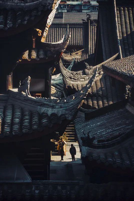 中国十大养老宜居城市,最宜居的十个养老城市