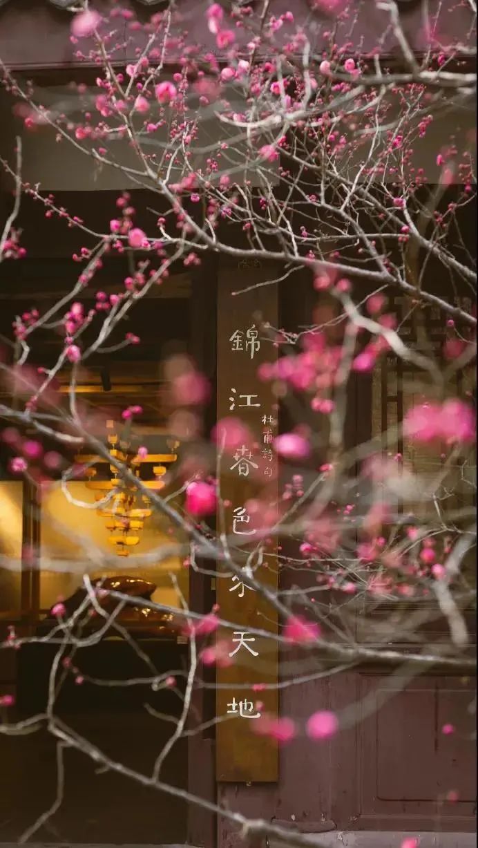 成都有哪些公园值得一去,成都必去的公园排行榜最新名单