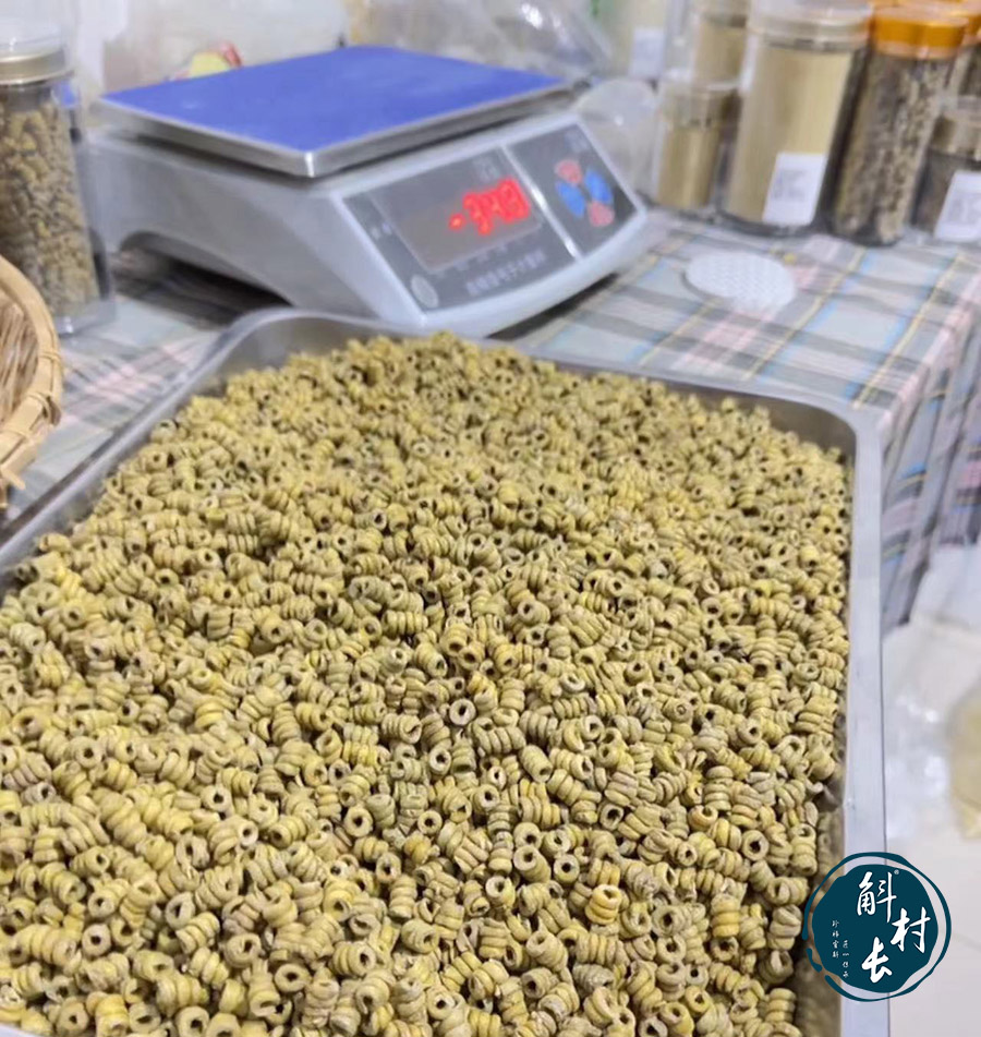 铁皮石斛怎么种是最标准的,如何种出高品质的铁皮石斛