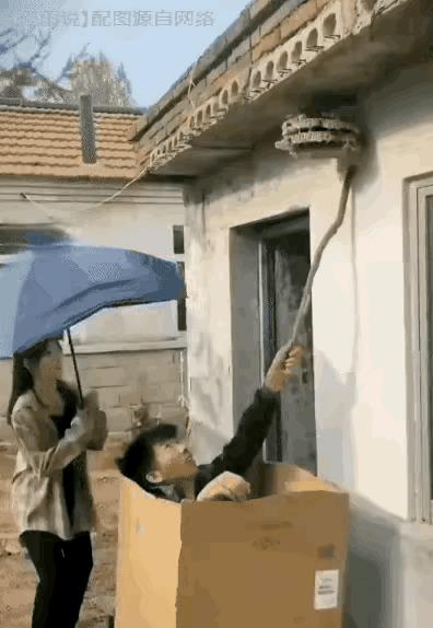 “无意中在女同事车上发现的，这是用来干嘛的？”网友们内涵了