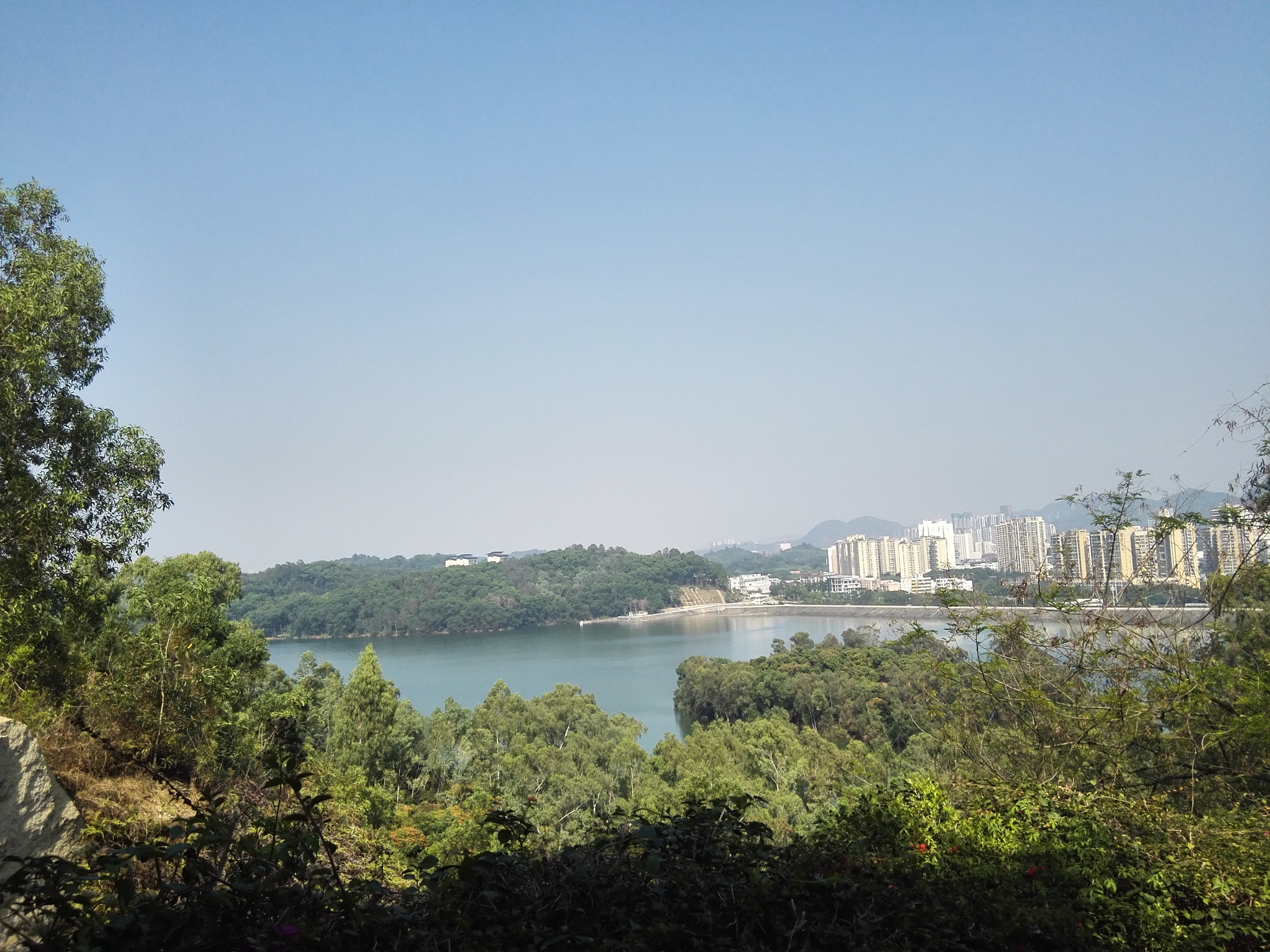 西丽水土保持科技示范园要预约吗,西丽水库水土保持示范园