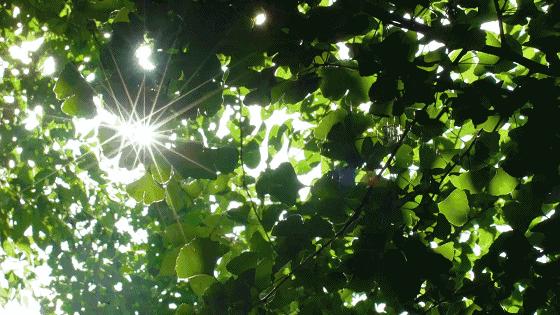 西安市停车费新政即将出台，计费方式有变；阴雨结束，浮尘将至→【4月24日周一新闻速览一分钟】