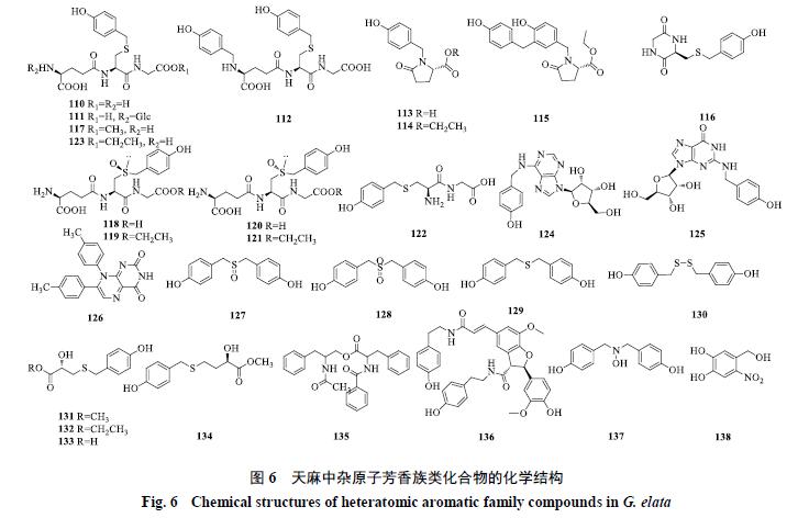 天麻的主要化学成分为什么类,天麻的主要化学成分是什么