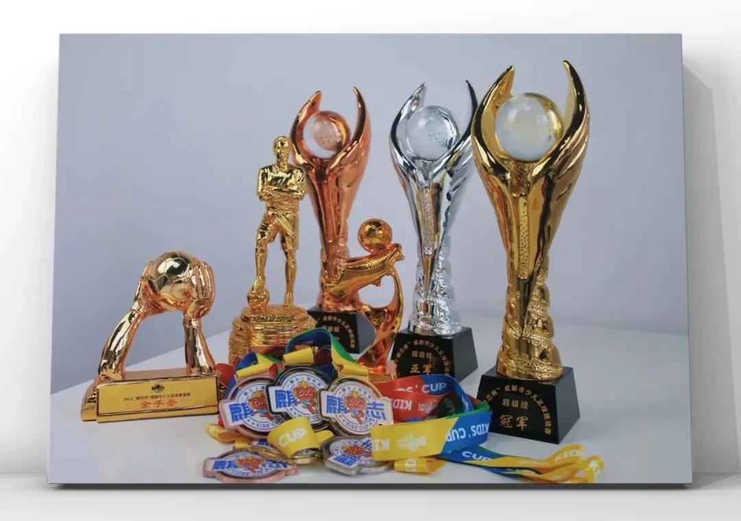 麒志杯2012,麒志杯