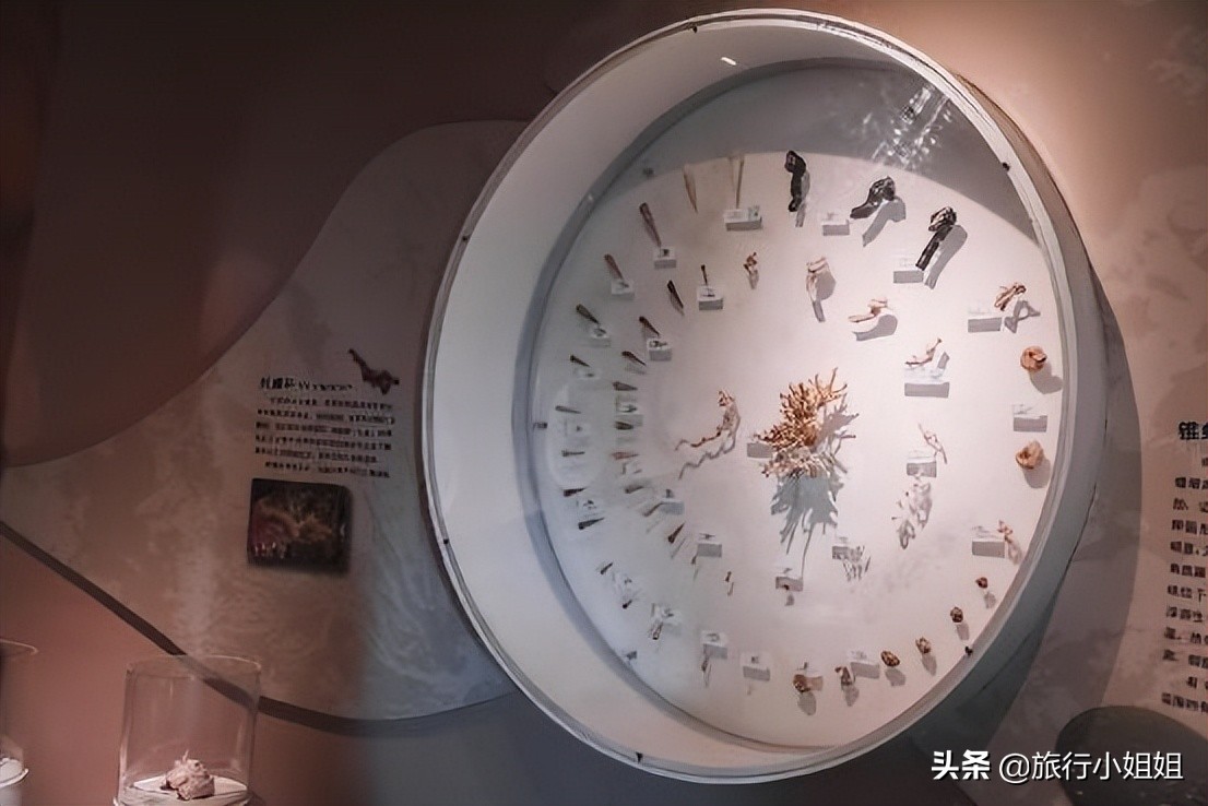 夏日海边微醺氛围感,滨城风光秀丽浪漫气息爆表