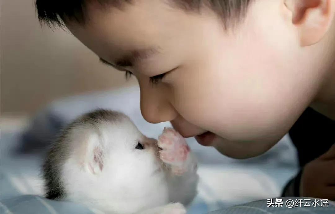 微头条写作方法和技巧,微头条的写作技巧