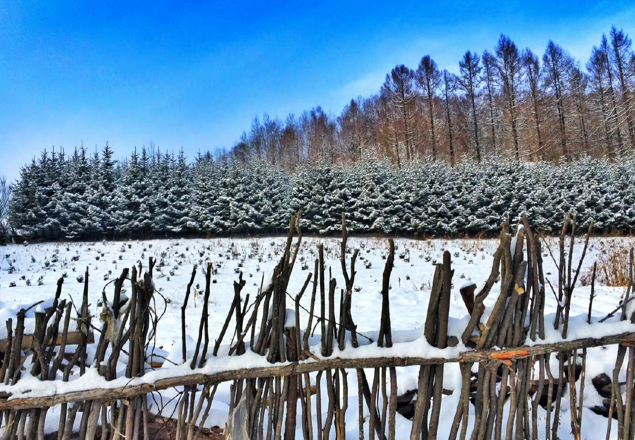 2020骞寸殑鍐板ぉ闆湴,2022鏄ヨ妭闆櫙鏃呮父鎺ㄨ崘