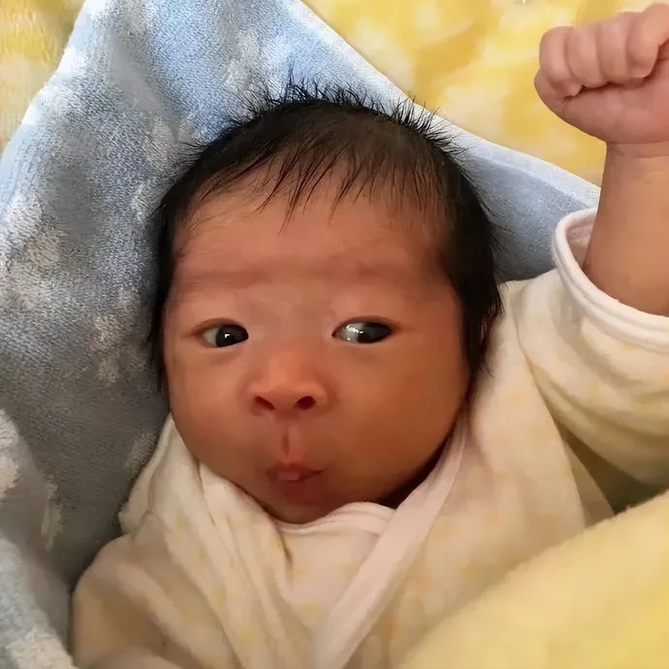 日本拍孩子丑照大赛,日本最丑选美大赛