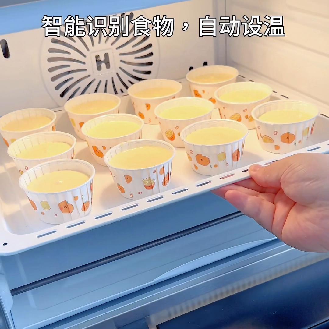 海氏烤箱i9怎么使用,海氏i9和TOKIT烤箱哪个好