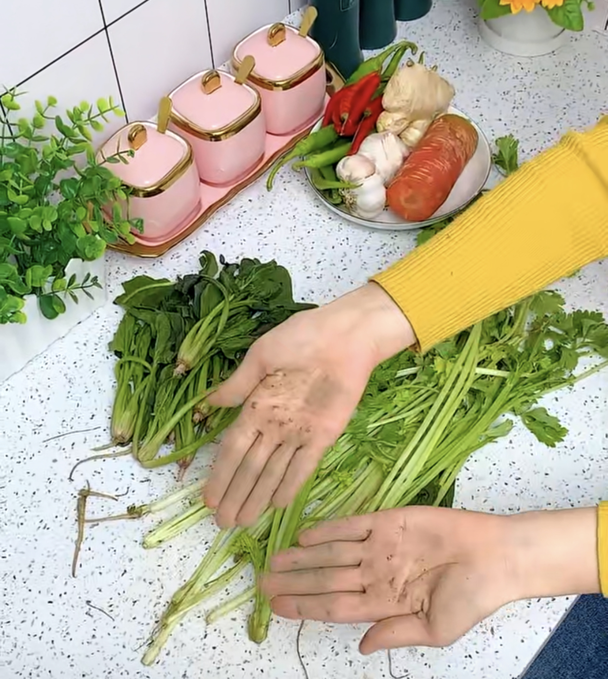 这5件家居好物让你的生活更精致,家居必备的100件神奇好物