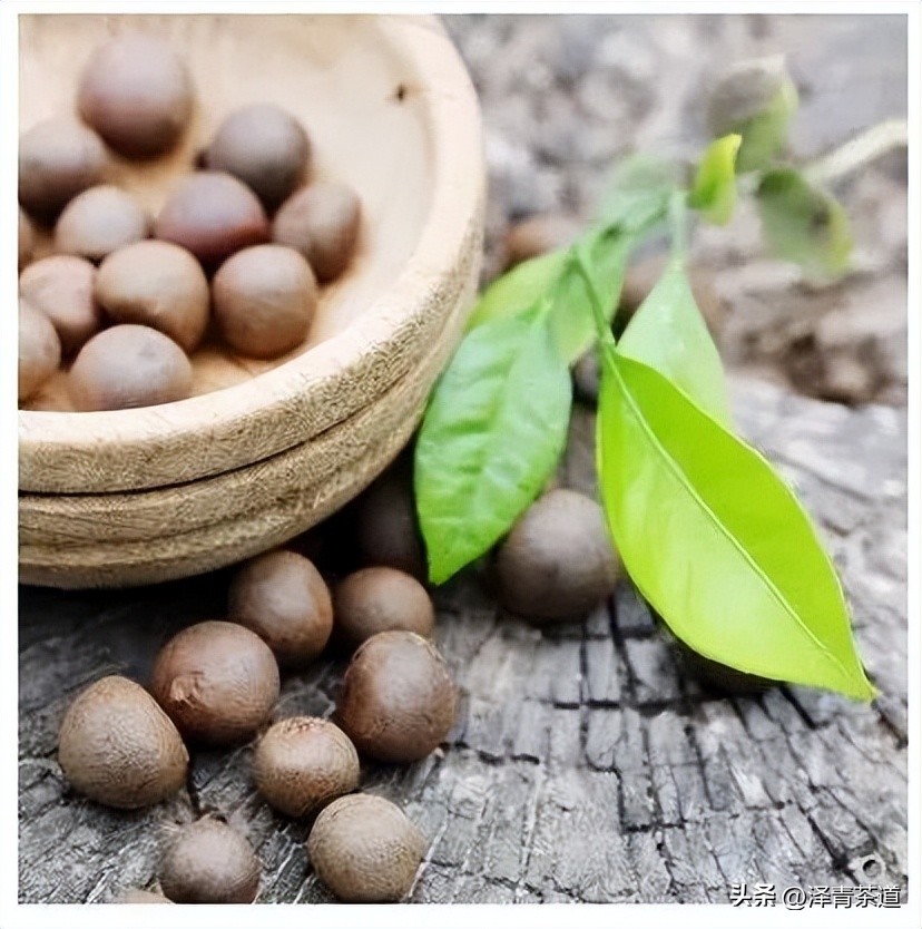 为什么茶树的南比北多,茶树生长的原因有哪些