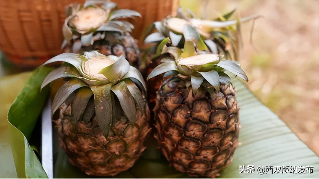 西双版纳泼水节文化讲解,云上泼水节之版纳之巅