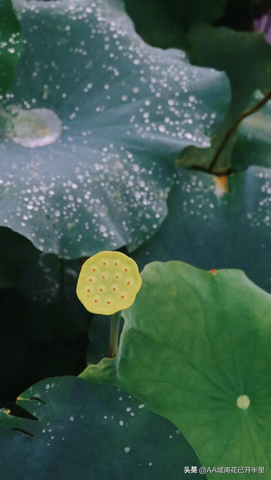 和父母借1000元被拒绝的心酸,被网友借了8万块不还怎么办