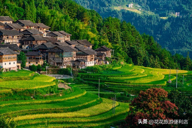 荔波绿宝石一日游,荔波全年游客接待量