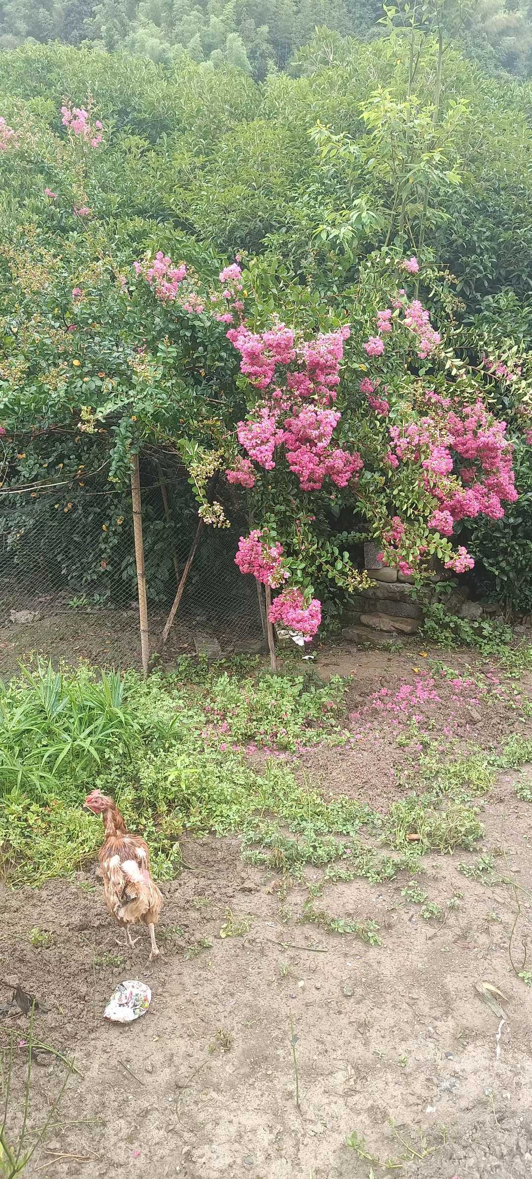 十一月份考驾照哪天日子好,拿驾照选什么日子好