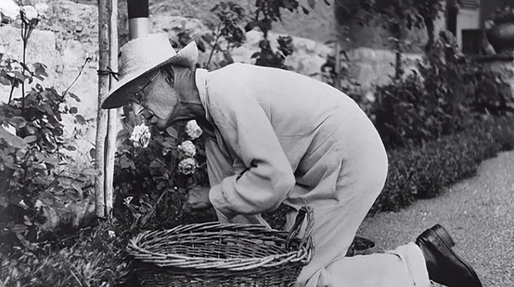 天才少年被坏孩子带偏，因爱投河自尽，他的悲剧值得所有父母深思