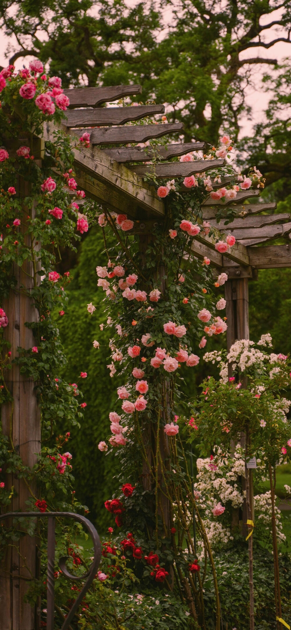 街角花店图片壁纸,花店壁纸图片大全