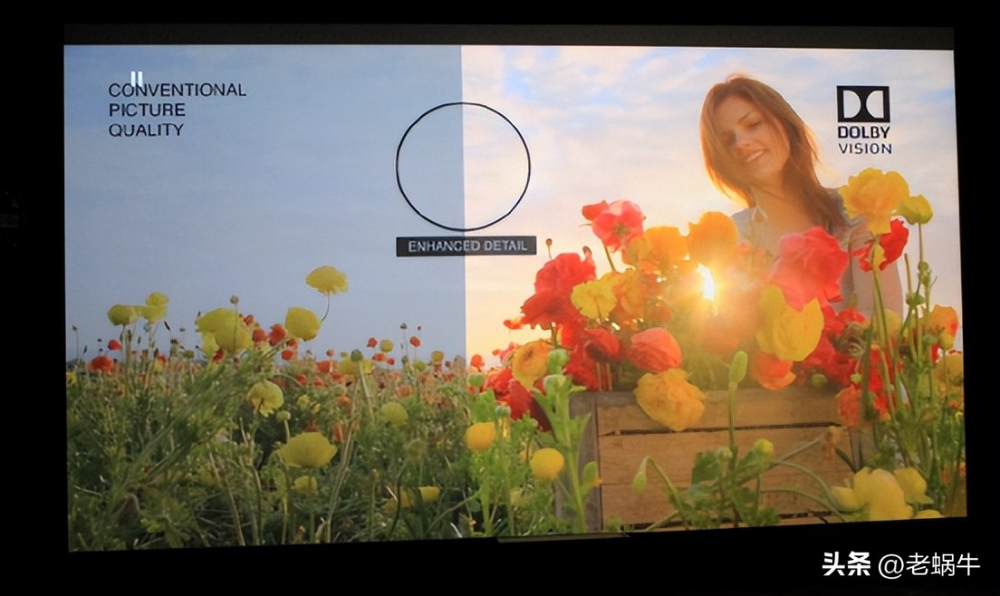 一万多的发烧级蓝光机是什么体验？麦尼塔MAGNETAUDP800试用评测