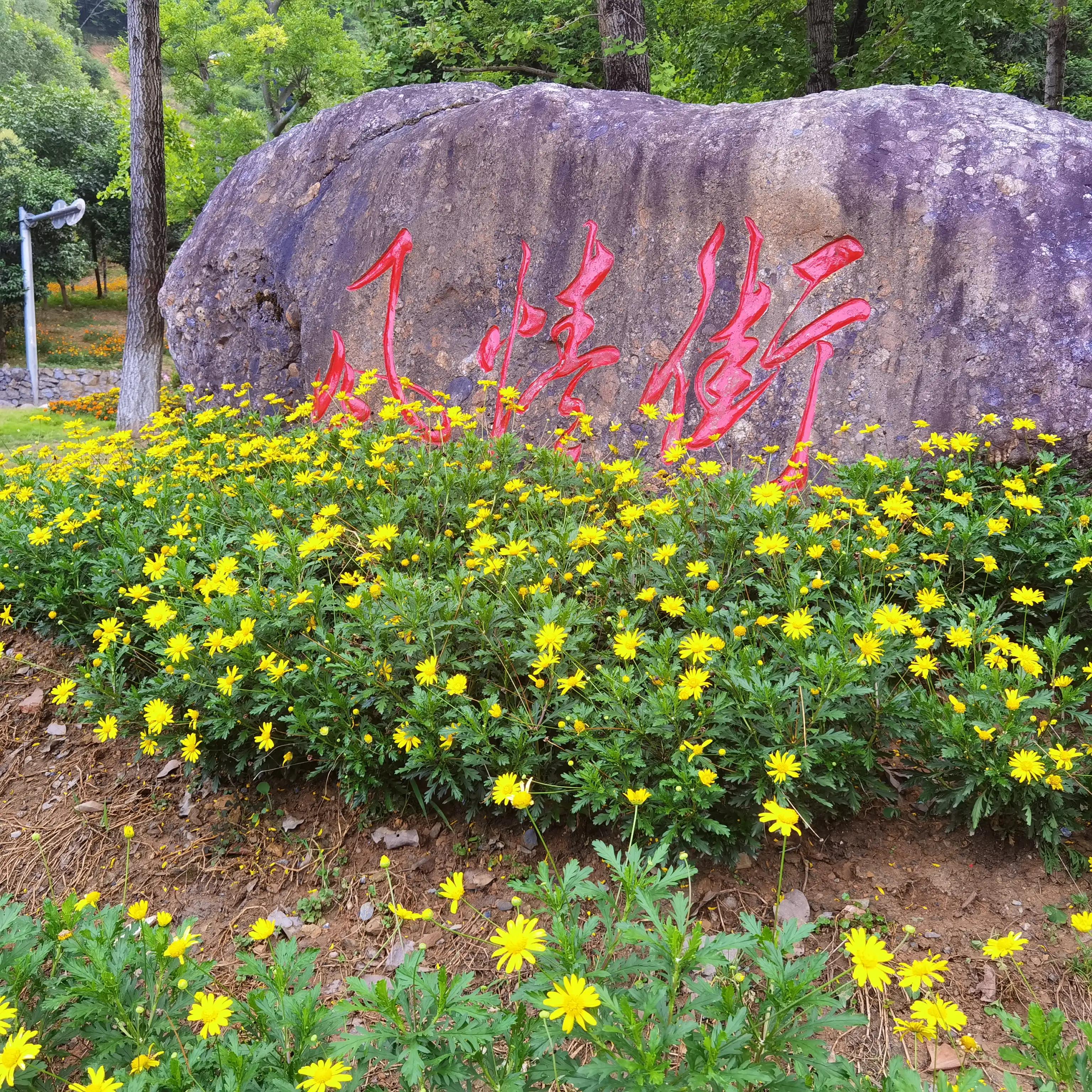 神农架木鱼镇老地方,神农架木鱼镇历史