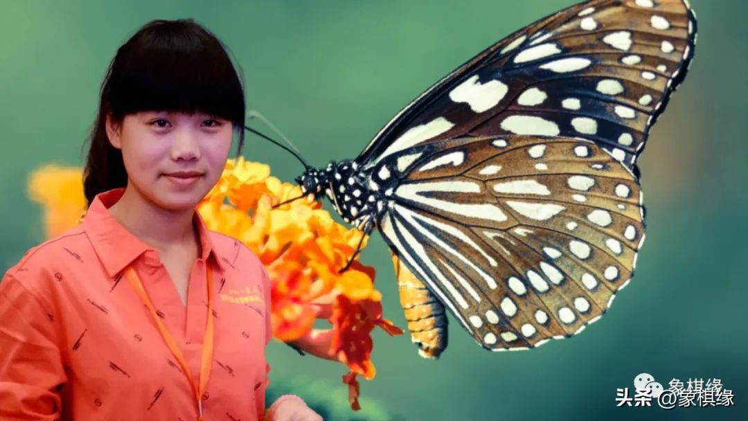 郑惟桐战平王天一视频,赵鑫鑫解说王天一郑惟桐上海杯