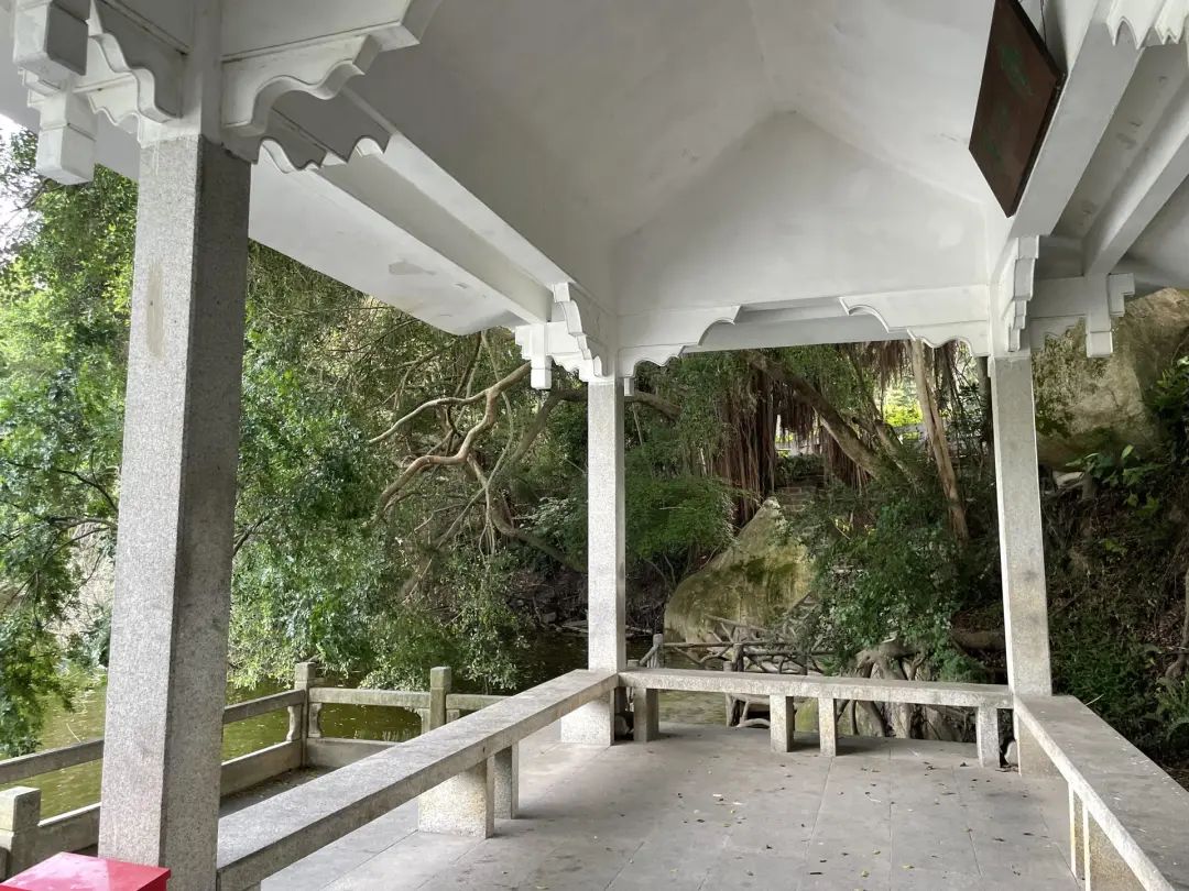 万门大学天才CEO成末路赌徒：北大毕业，从教育公平的呼喊者到让员工代持炒房，到暴雷跑路的一生