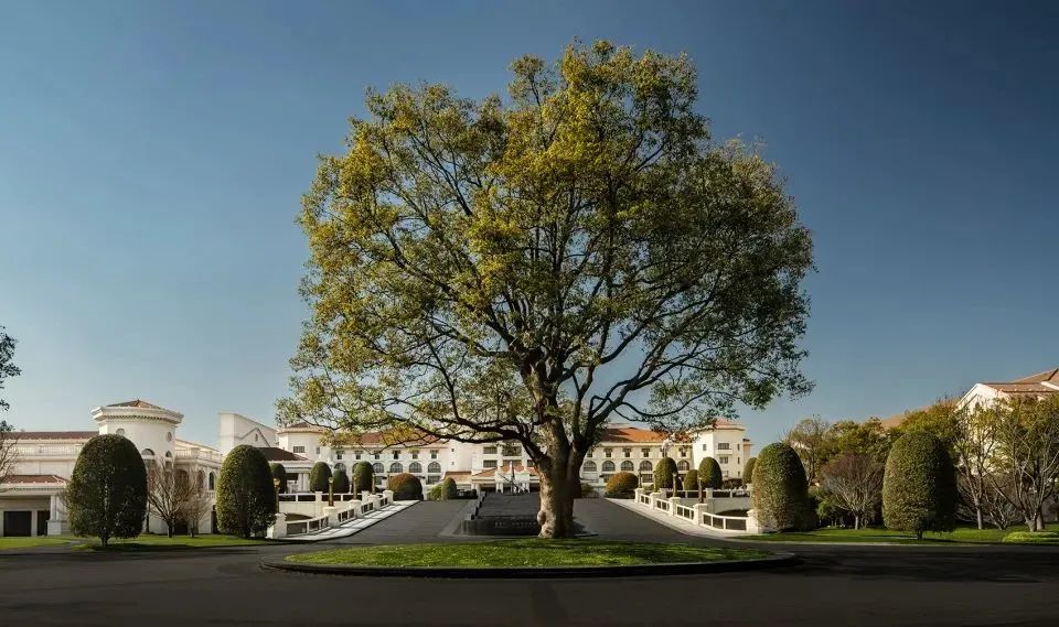 南京苏宁钟山高尔夫酒店发展史,苏宁钟山国际高尔夫酒店项目