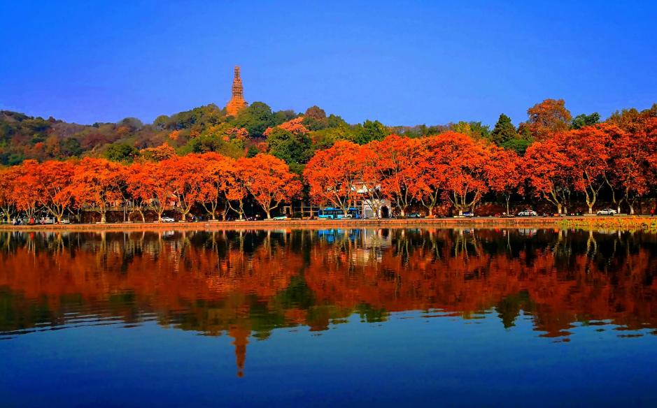 西湖的秋景诗句,西湖的秋天是美丽的