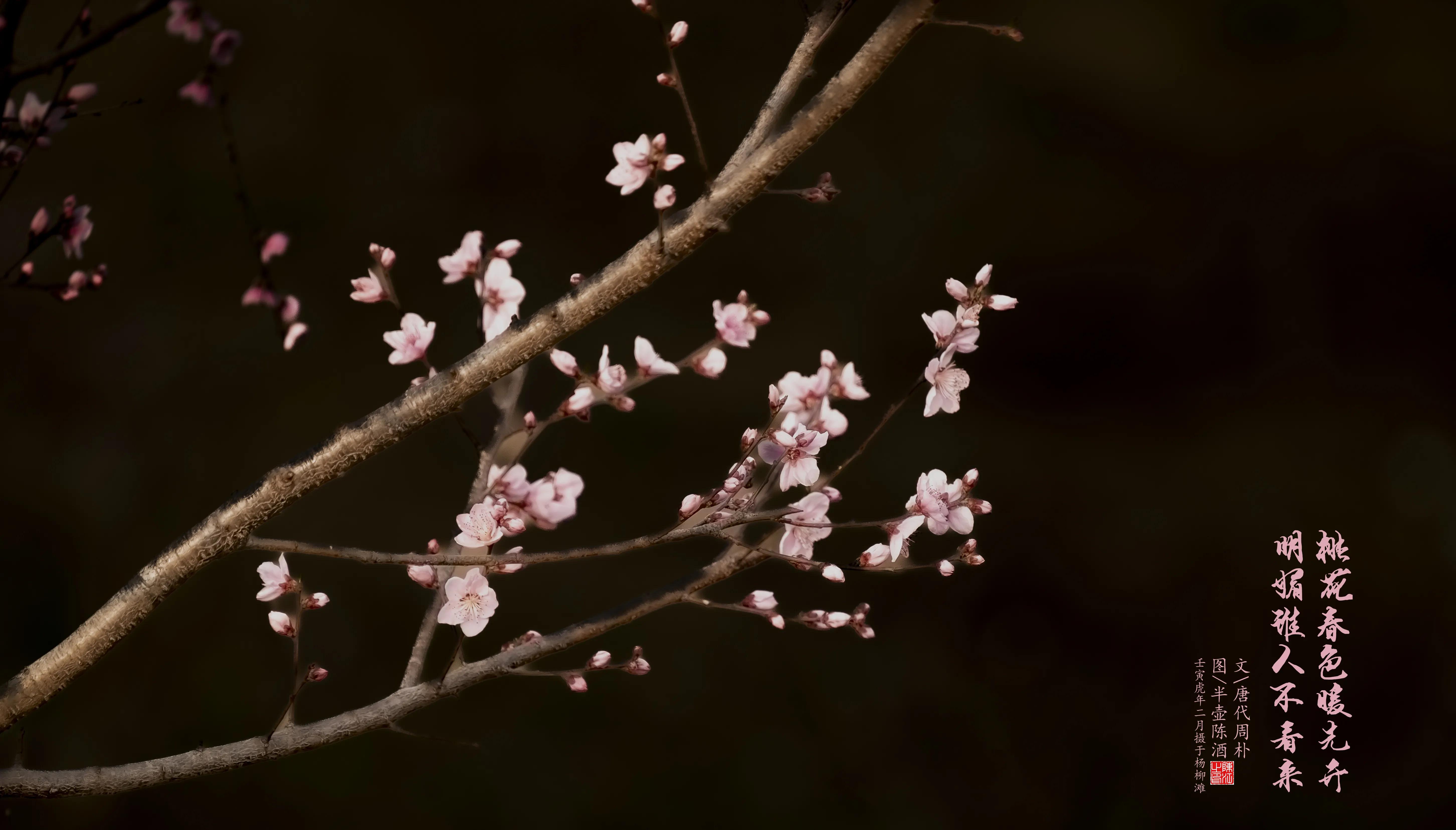 摄影棚拍白底图片,高端白底图拍摄