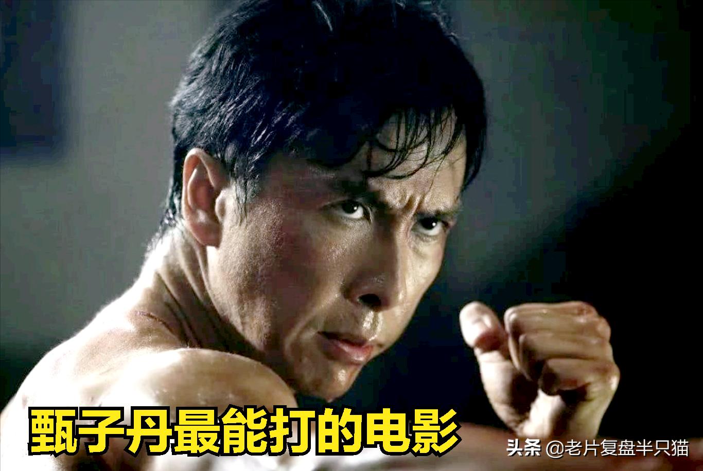 推荐几部甄子丹最能打的动作电影,甄子丹拍过三部巅峰时期动作片