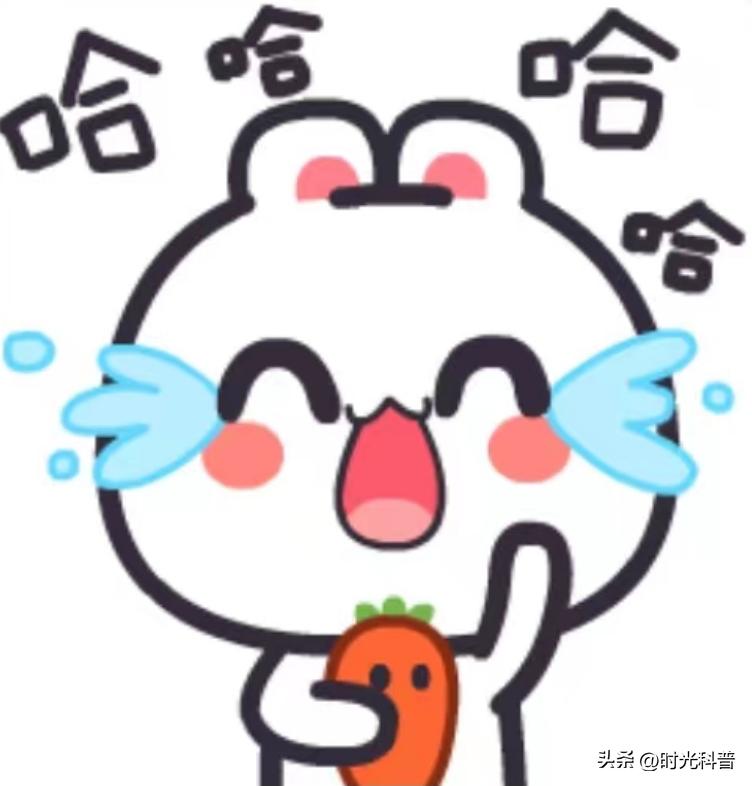 搞笑把一个人给笑死的搞笑故事,笑点高的人听了都会笑的搞笑故事