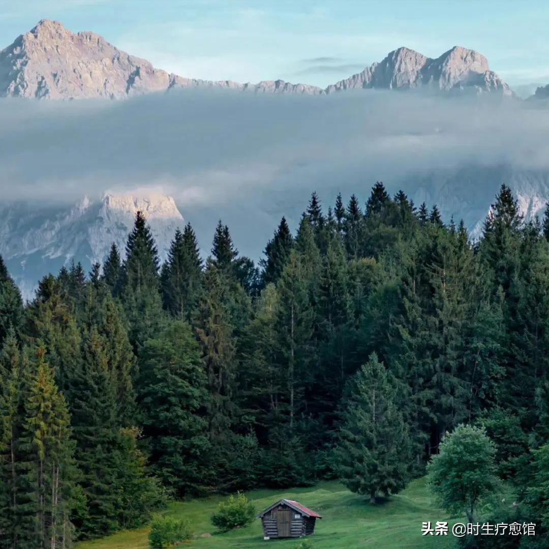 12星座七月运势表现,一周星座运势2010.07.14-07.20