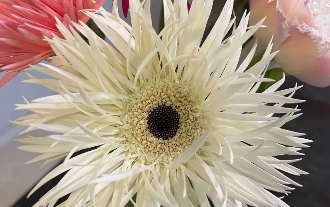 新手必看鲜花养护攻略,鲜花在水里能养几天会死