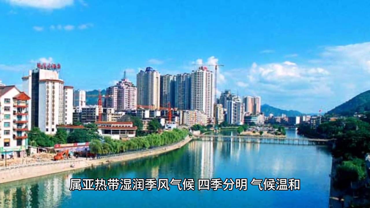 普洱茶和都匀毛尖茶哪个好,都匀毛尖已有多少年历史